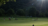 swiss-olypmic-coach-commission-preview